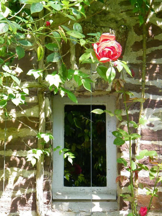 Chateau De Canisy Bagian luar foto