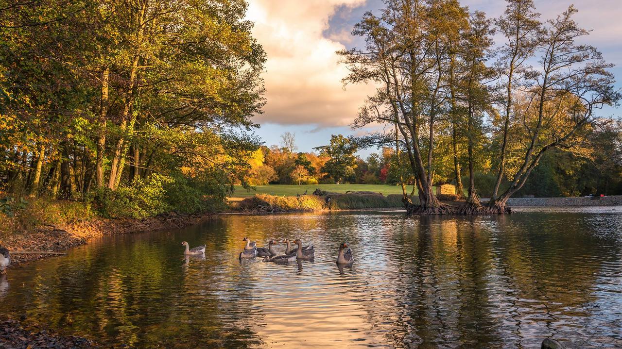 Chateau De Canisy Bagian luar foto